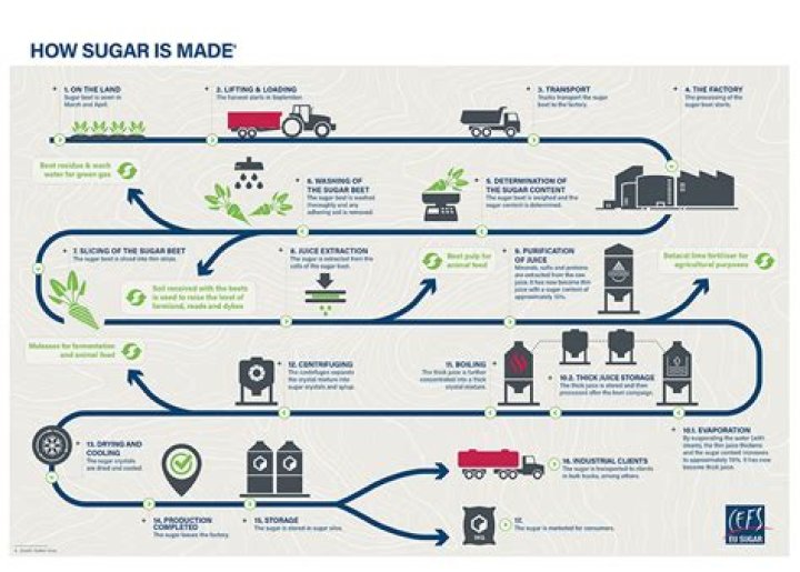 How is sugar produced step by step?