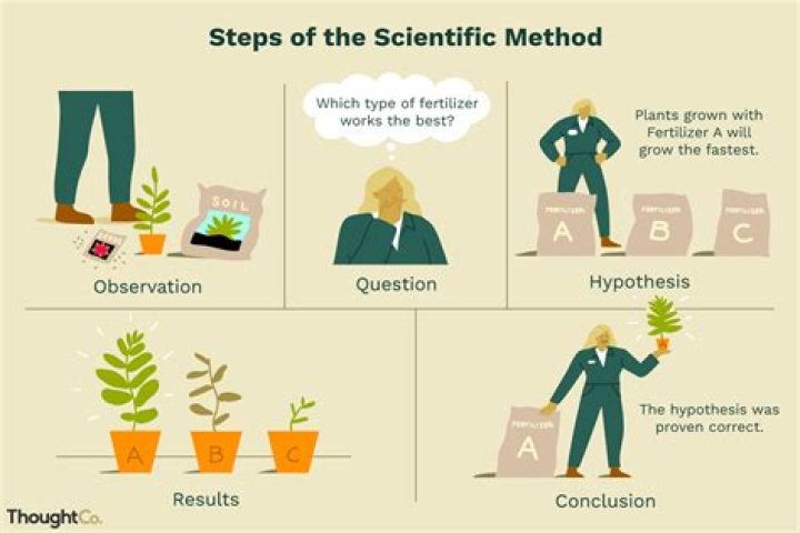 How is the scientific method applied in social sciences?