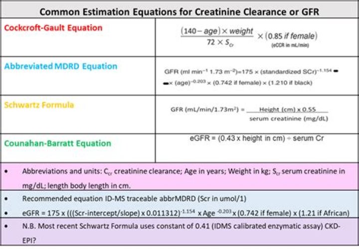 How is UMOL l creatinine clearance calculated?