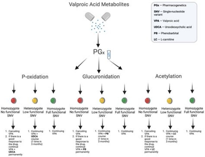 How is valproic acid toxicity treated?