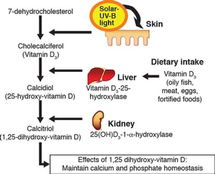 How is vitamin D produced?