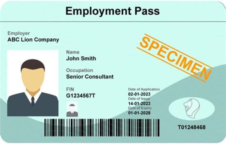 How long does it take for employment pass to be approved?