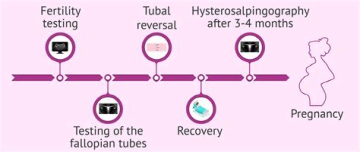 How long does it take to get pregnant after a tubal reversal?