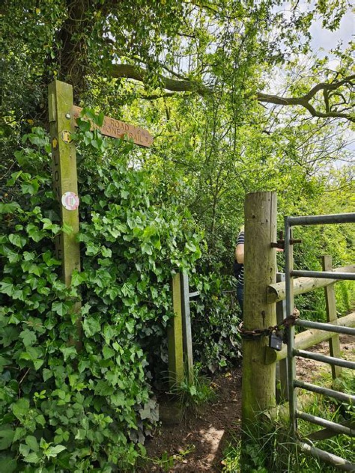 How long does it take to walk up Frodsham Hill?