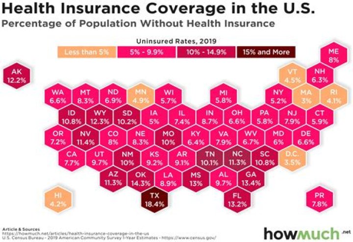 How many Americans had no health insurance in 2008?