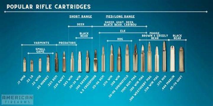 How many bullets do you need for OPR?