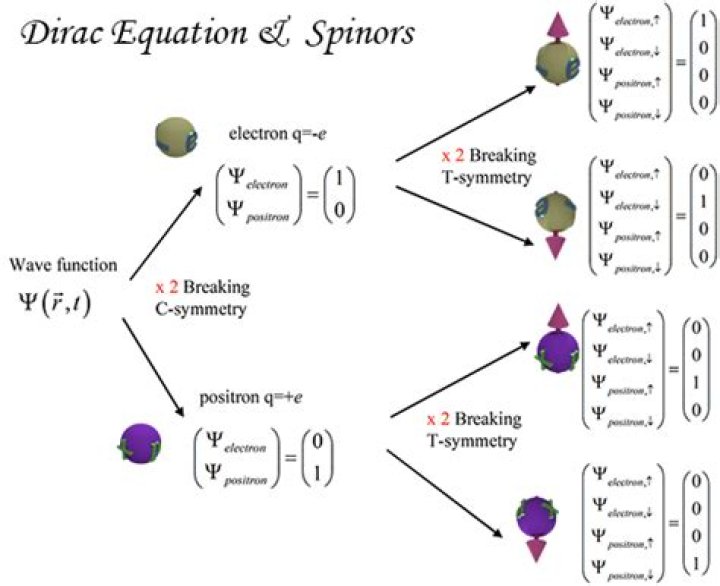 How many components does a spinor have?