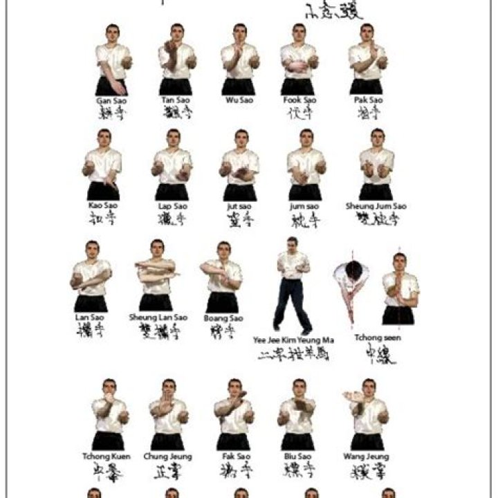 How many forms does Wing Chun have?
