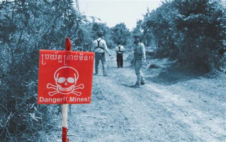How many industries are in Cambodia?