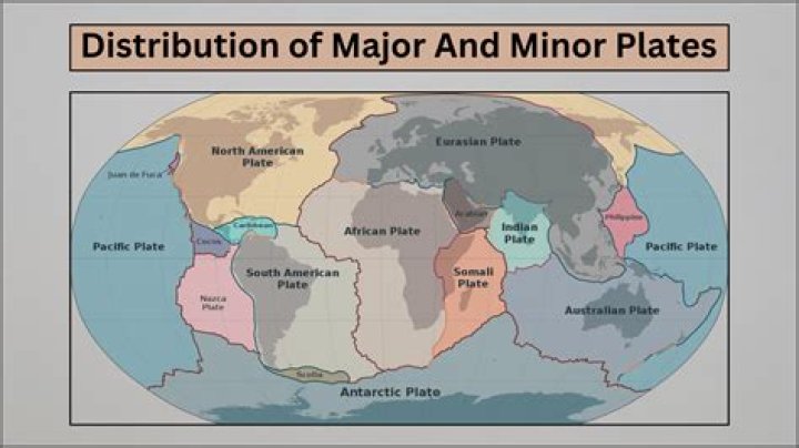 How many lithospheric plates are there answer?