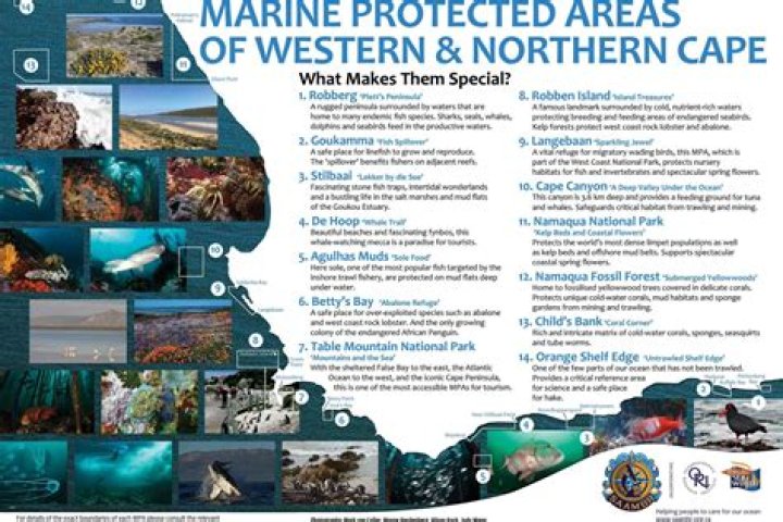 How many marine protected areas are there in South Africa?