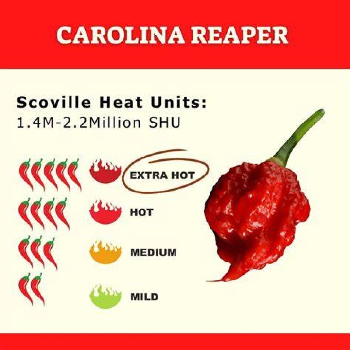 How many Scoville units are in a Carolina Reaper?