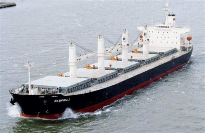 How many ships does scorpio Bulkers have?