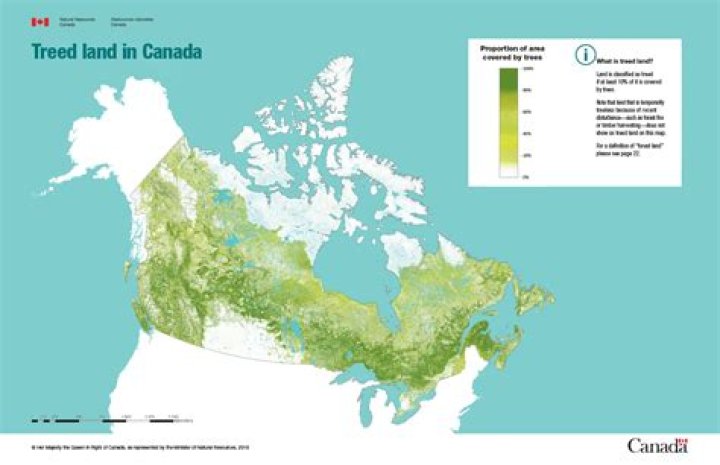 How many trees are in Toronto?