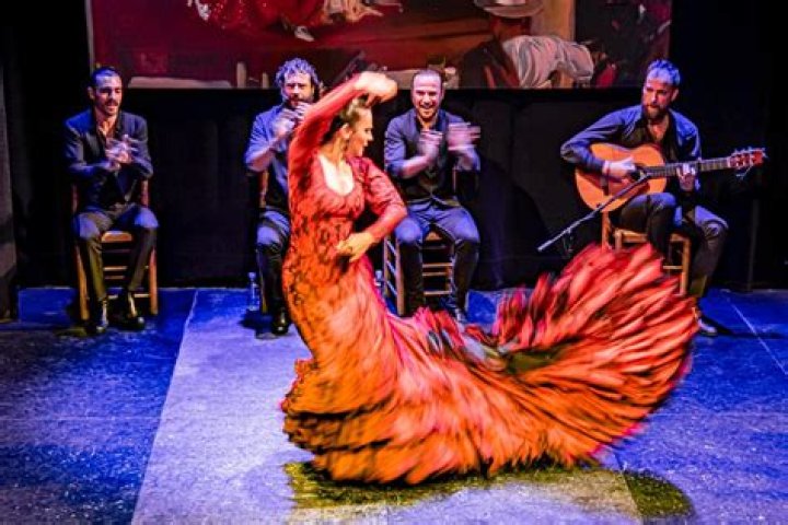 How many types of flamenco dance are there?