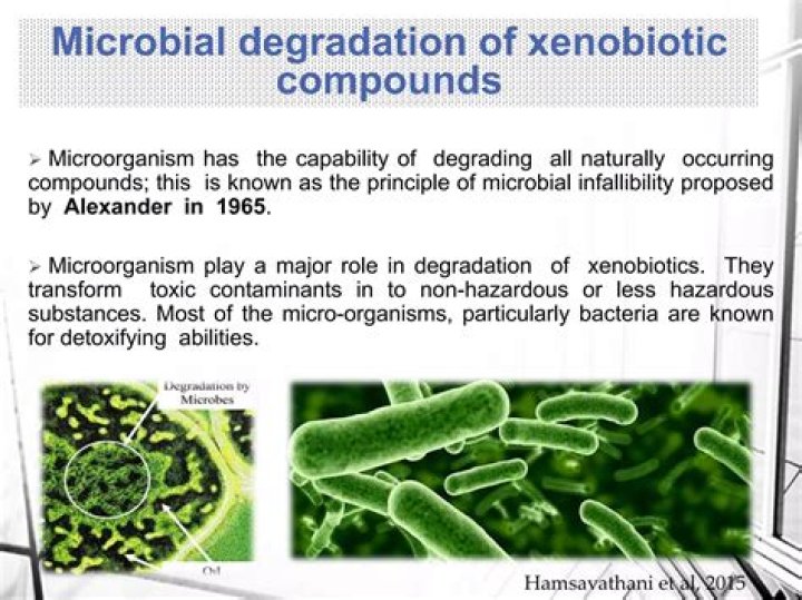 How microbes can be used for degradation of xenobiotic?