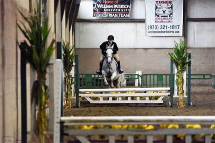 How much are horseback riding lessons in NJ?