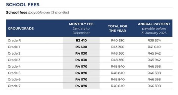 How much are school fees NSW?