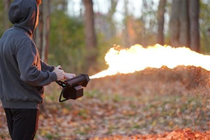How much does a flamethrower cost?
