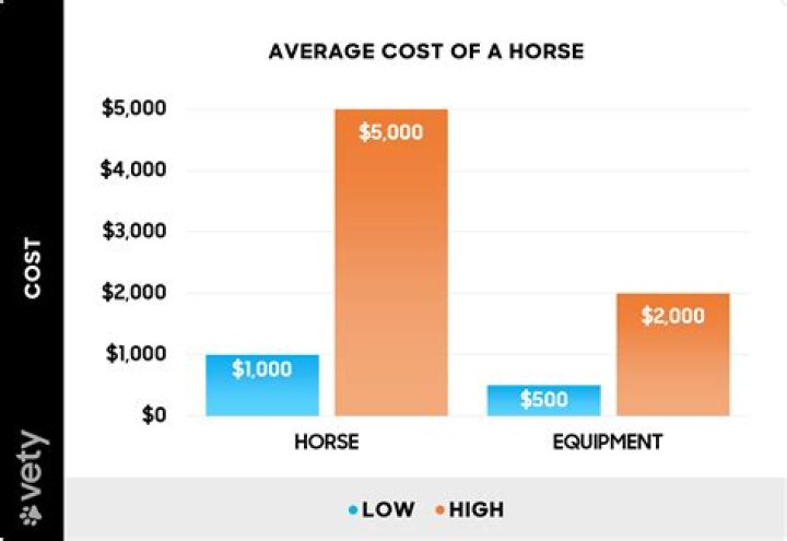 How much does a good dressage horse cost?