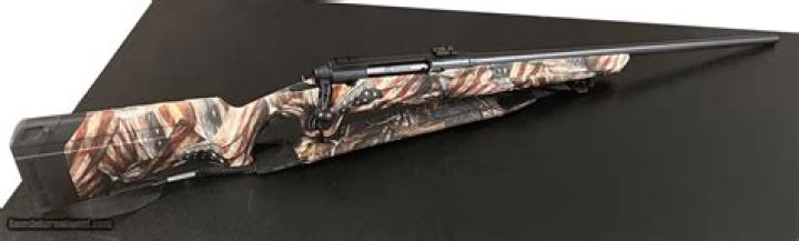 How much does a savage 243 bolt action cost?
