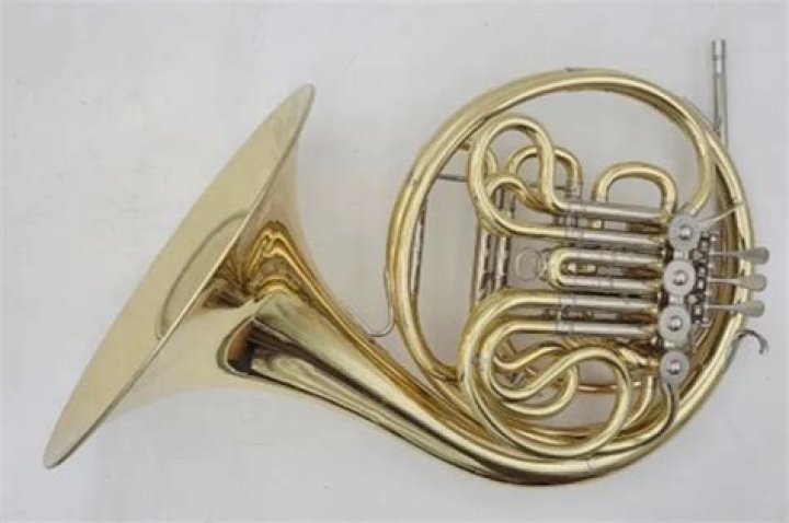 How much does a used French horn cost?