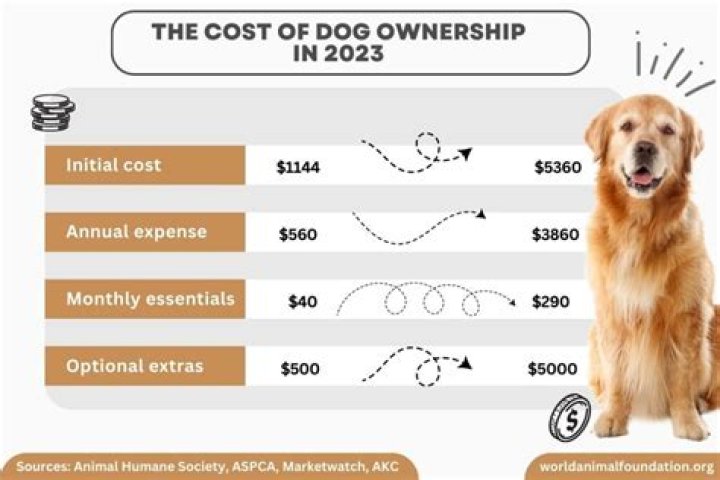 How much does ctera cost?