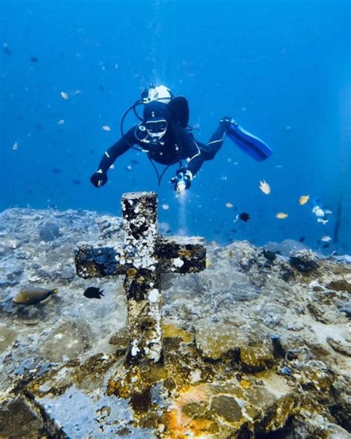 How much does diving Anilao cost?