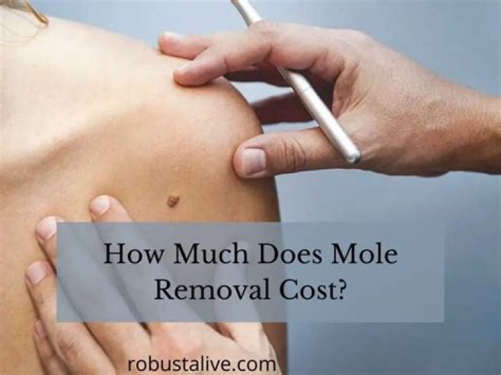 How much does it cost to abate mold?