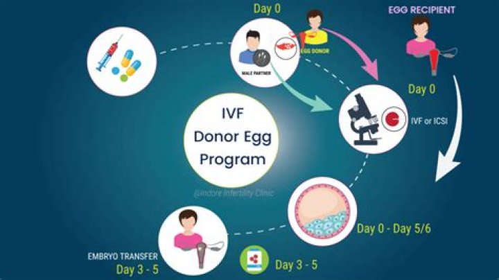 How much does IVF with donor eggs cost UK?