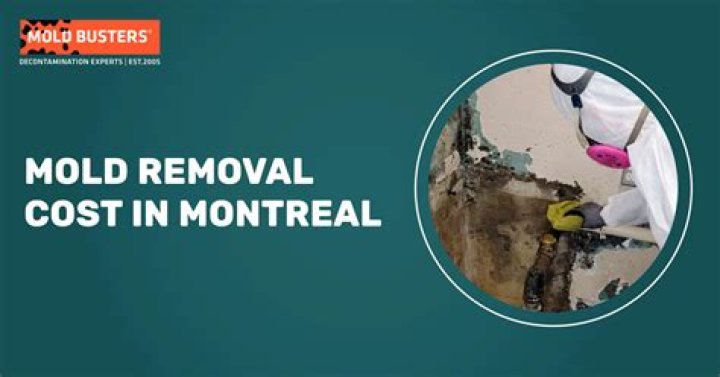 How much does mold removal cost in NJ?