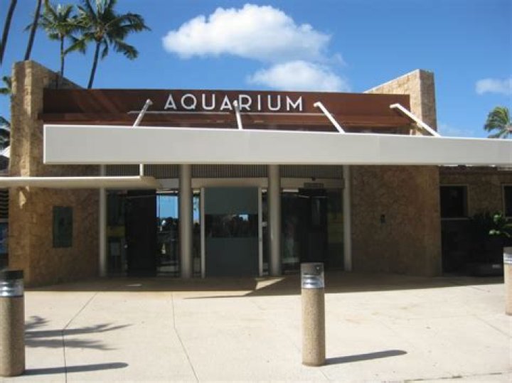 How much does the Waikiki Aquarium cost?