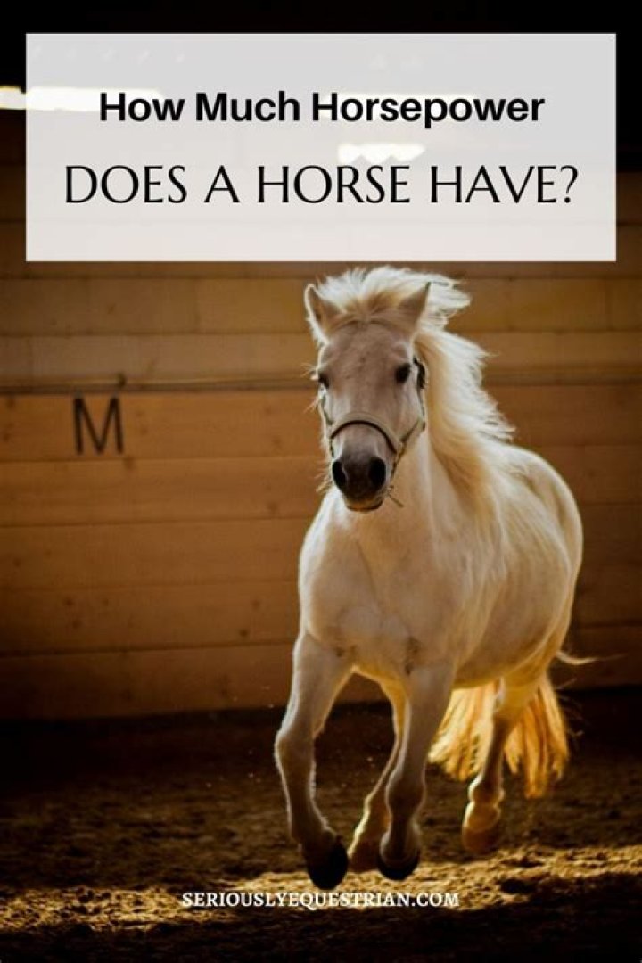 How much horsepower does a gs430 have?