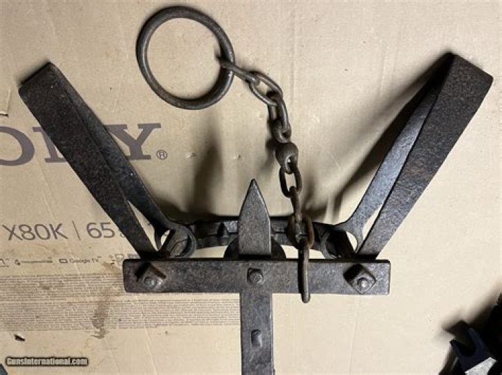 How much is a #5 Newhouse bear trap worth?