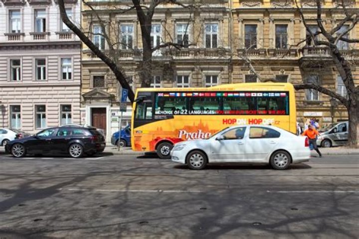 How much is it for a hop on hop off bus in DC?