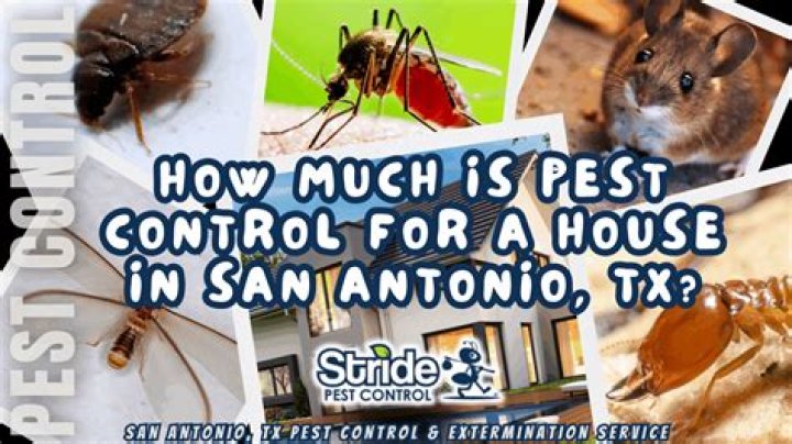 How much is pest control for house?