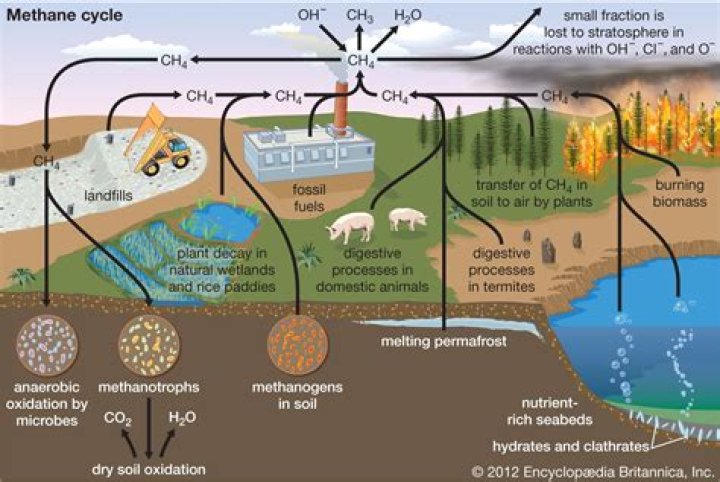 How much methane can be produced from manure?