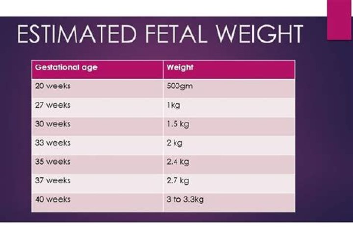 How much should a 27 week fetus weigh?