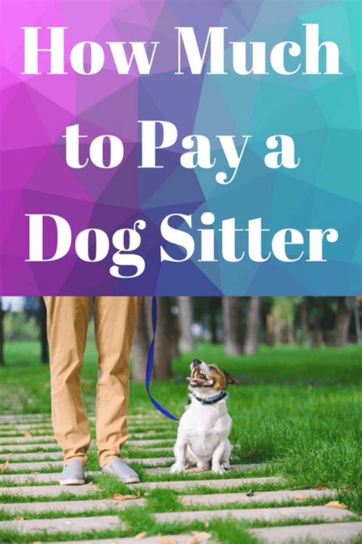 How much should I pay a dog house sitter?