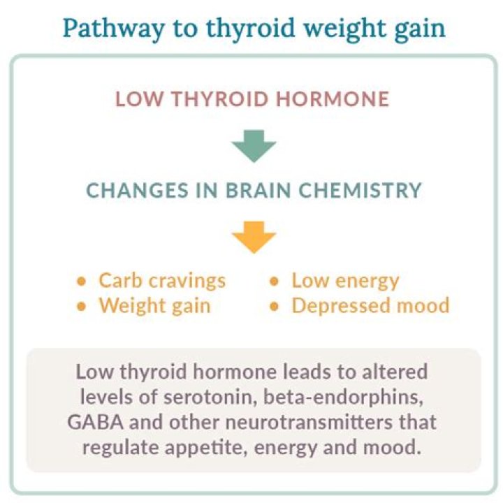 How much weight can thyroid make you gain?