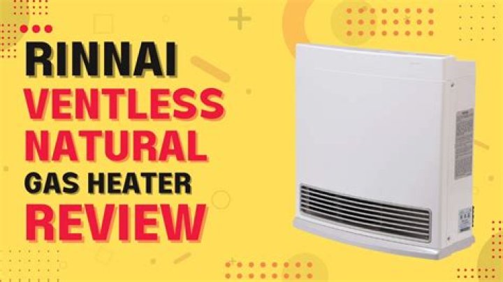 How often should Rinnai gas heaters be serviced?