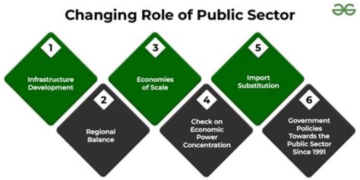How public enterprises contribute to nation?