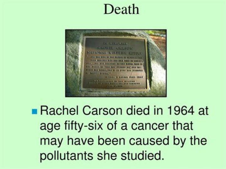 How Rachel Carson died?
