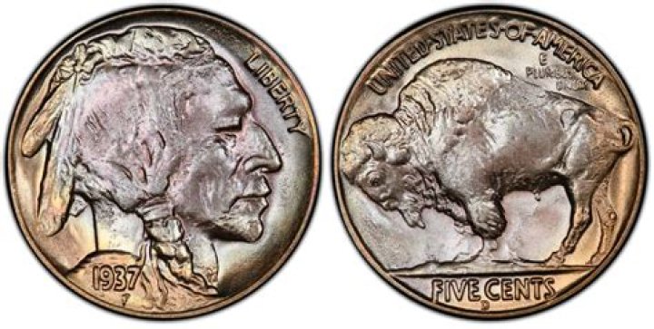 How rare is a three legged buffalo nickel?