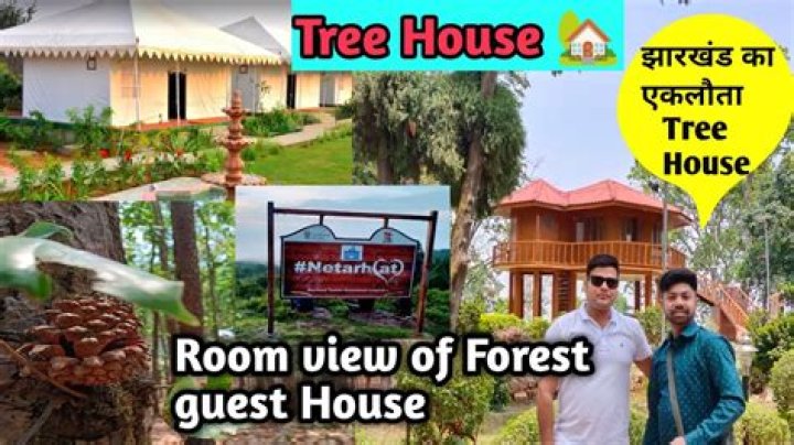 How to book forest guest house in Netarhat?