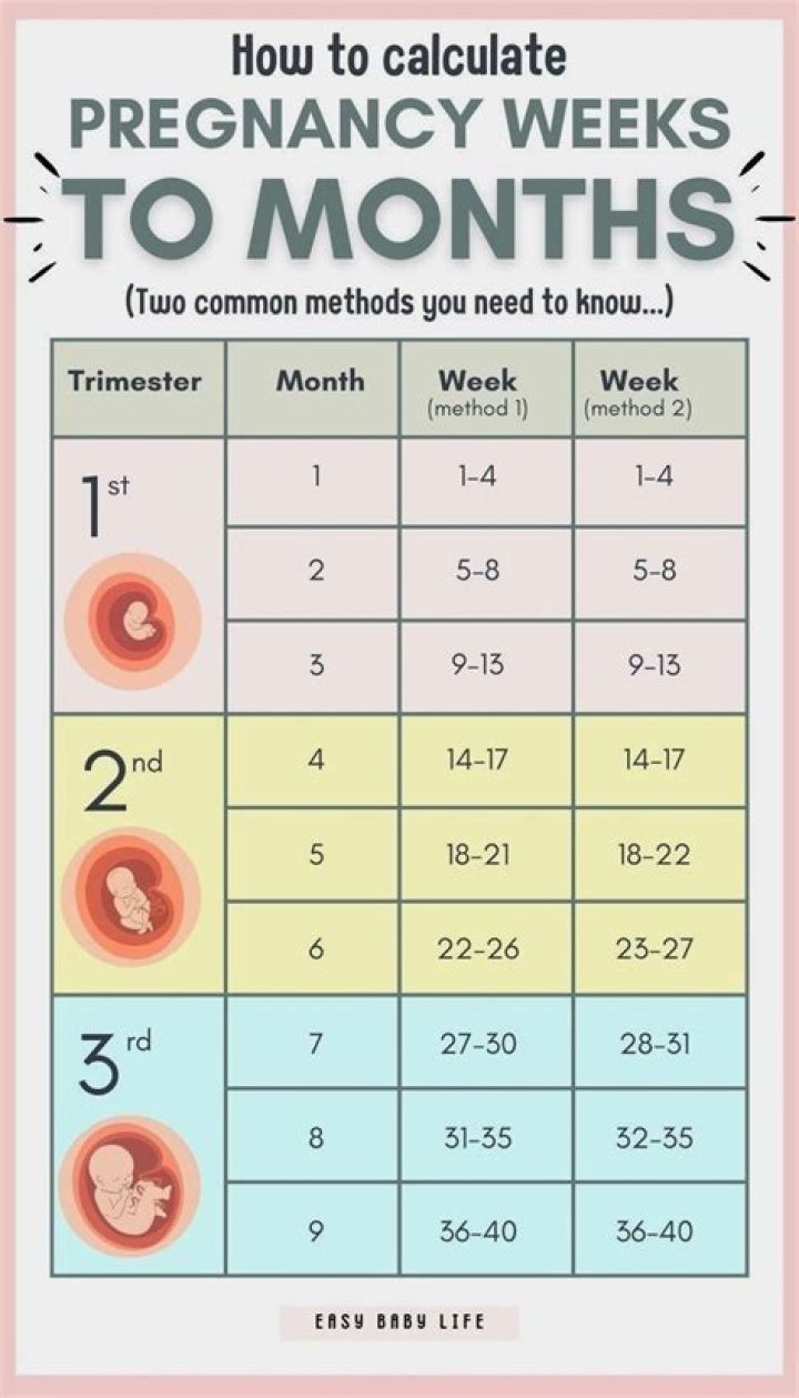 Is 5 months too early to crawl?