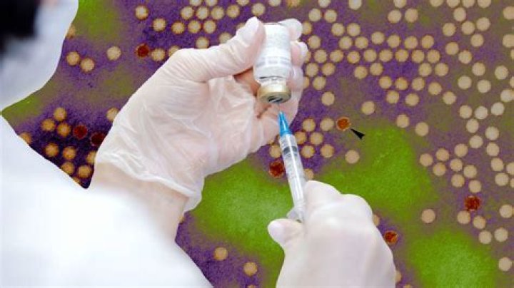 Is a vaccine formula a public good?