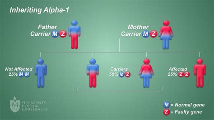 Is Alpha-1-antitrypsin deficiency a genetic disorder?