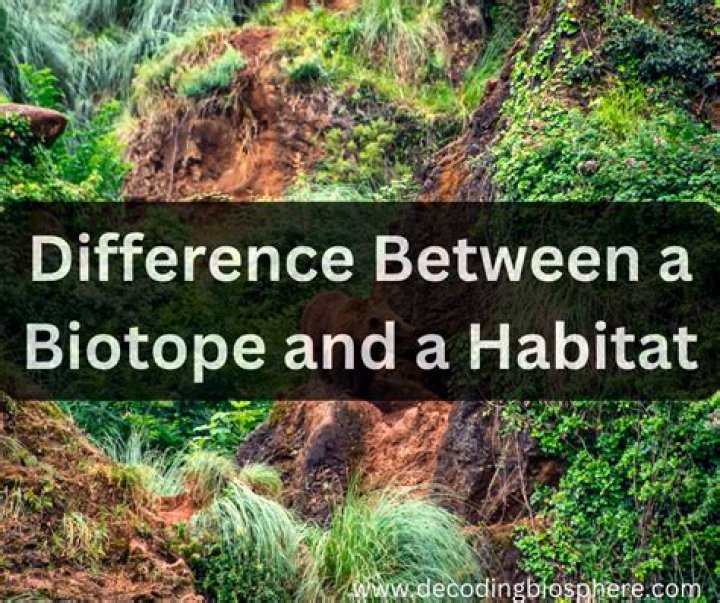 Is biotope a habitat?