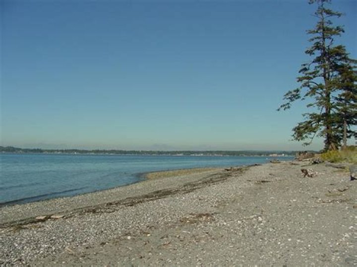 Is Birch Bay open?